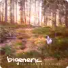Bigeneric - The Amaranth Fields